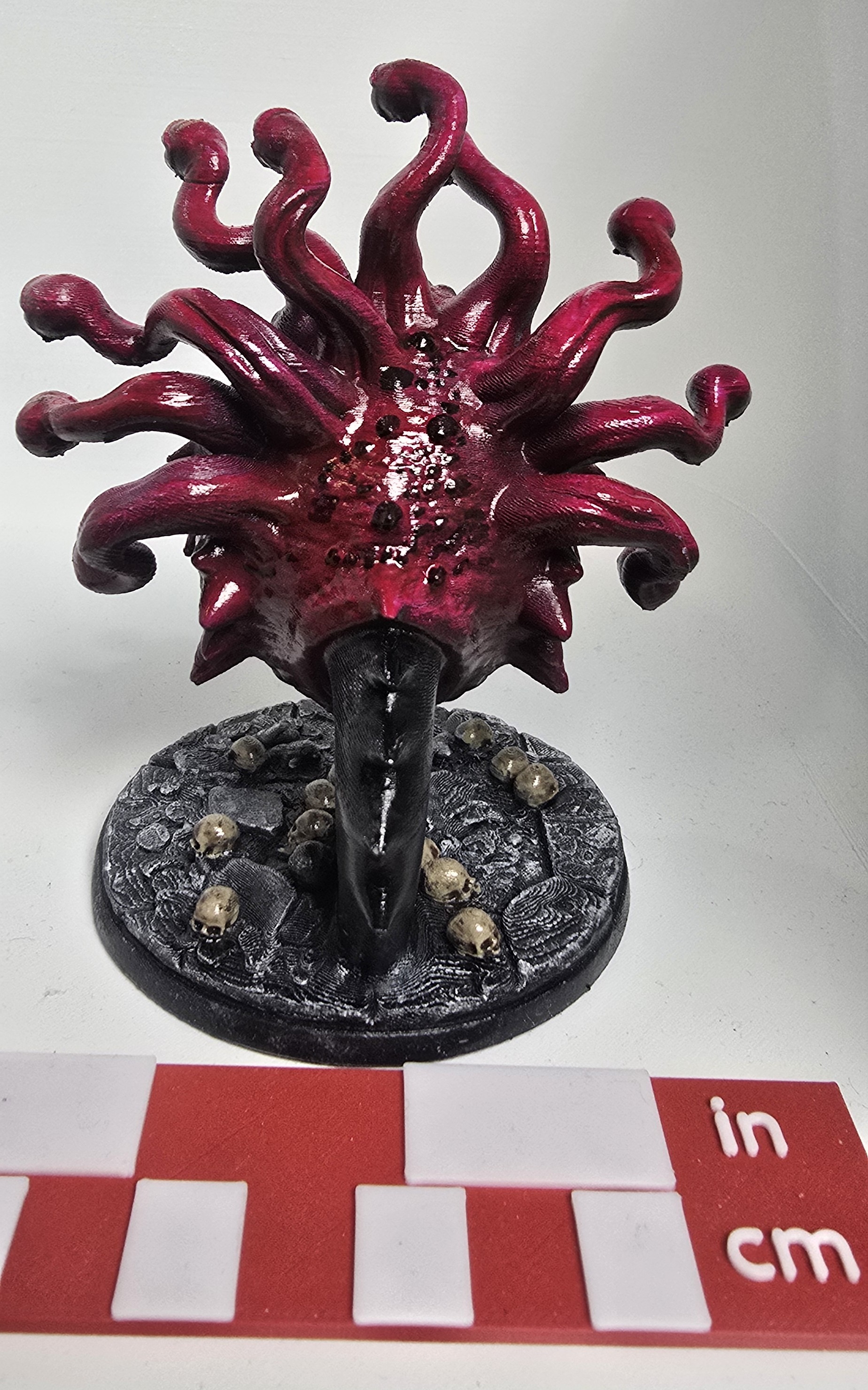 Beholder view 4